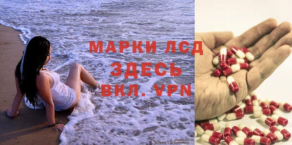 прущие грибы Зеленодольск
