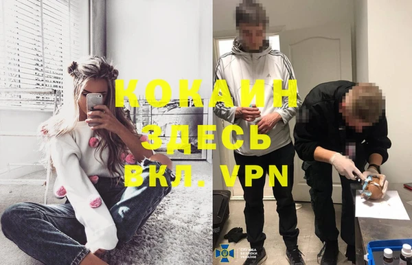 прущие грибы Зеленодольск