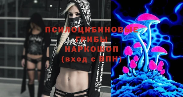 прущие грибы Зеленодольск