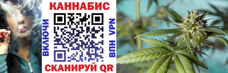 Купить  Калач-на-Дону  Канабис сатива 